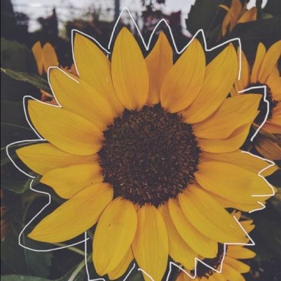 Meet your Posher, Jasmin - Picture 1 of 1